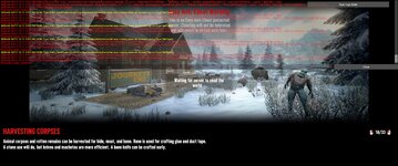 251570_698.jpg