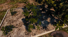 crops.png