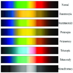 Color spectrum that non-colorblind people can see.png