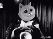 IMG_8840.gif
