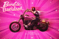 BarbirDavidson_VideoThumbnail.jpg
