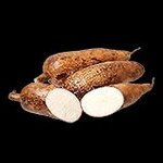 1764272255324.jpeg 1764272255324.jpeg