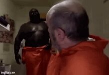 1765256060799.jpeg 1765256060799.jpeg