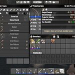 PrimBow6.jpg PrimBow6.jpg