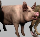 New Pig 7DTD.jpg