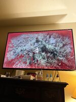 IMG_6982.jpeg