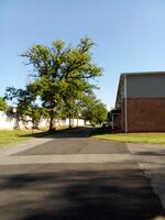 IMG_202663_85924.jpg