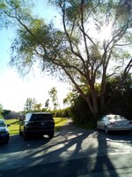 IMG_202663_9452.jpg