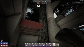 Tree 3.jpg