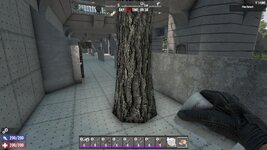 Tree 4.jpg
