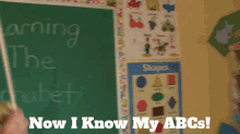 IMG_9893.gif