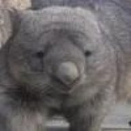 AussieWombat