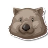 BasicWombat