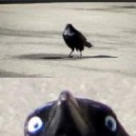 SmittenNightmares