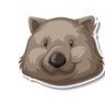 BasicWombat