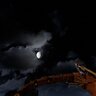 Survival No Trader XML mod