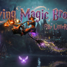 Flying Fancy Magic Broom